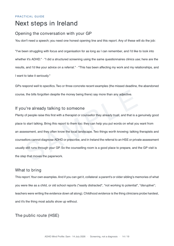 Sample report page: Next steps in Ireland